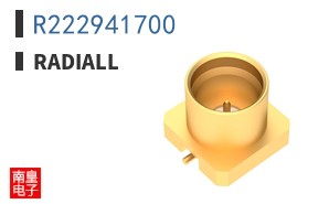 R222941700