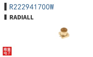 R222941700W