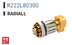 R222L80300