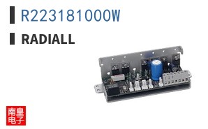 R223181000W