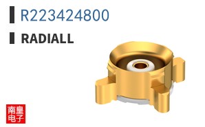 R223424800