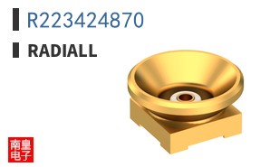 R223424870