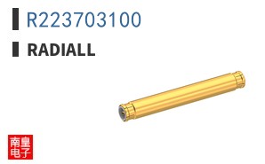 R223703100
