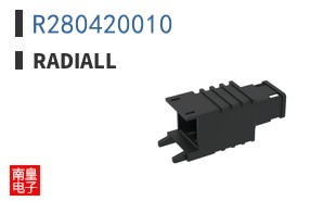 R280420010