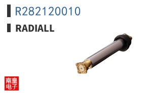 R282120010