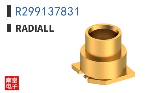 R299137831