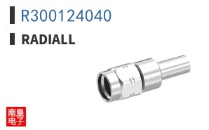 R300124040