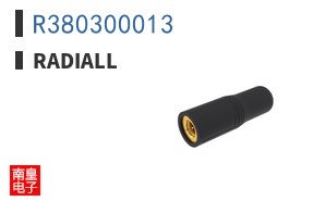 R380300013