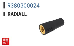 R380300024