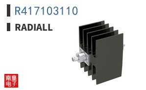 R417103110