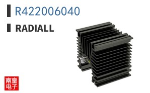 R422006040