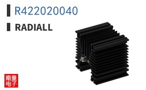 R422020040
