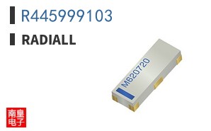 R445999103