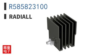 R585823100