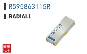 R595863115R