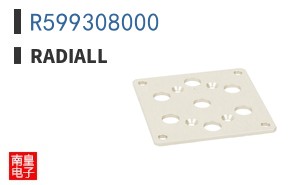 R599308000