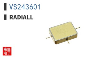 VS243601