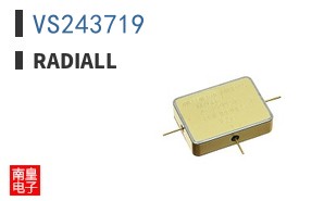 VS243719