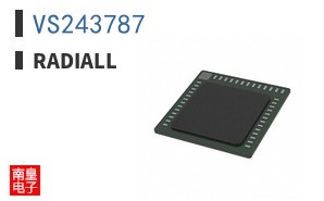 VS243787