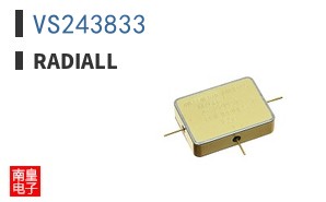 VS243833