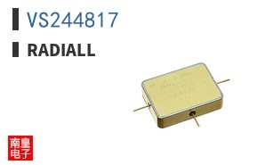 VS244817