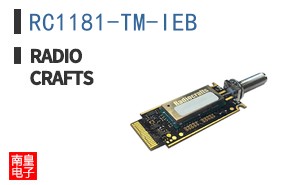 RC1181-TM-IEB