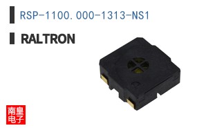 RSP-1100.000-1313-NS1