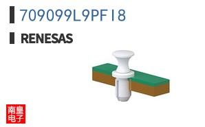 709099L9PFI8