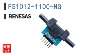 FS1012-1100-NG