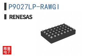 P9027LP-RAWGI