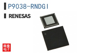 P9038-RNDGI