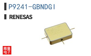 P9241-GBNDGI