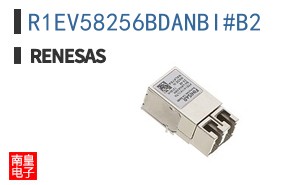 R1EV58256BDANBI#B2