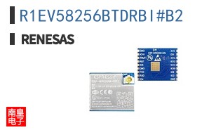 R1EV58256BTDRBI#B2