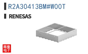 R2A30413BM#W00T