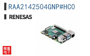 RAA2142504GNP#HC0