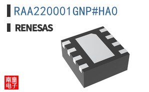 RAA220001GNP#HA0