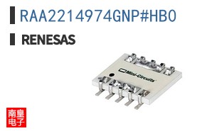 RAA2214974GNP#HB0
