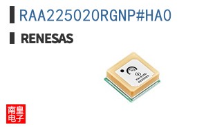 RAA225020RGNP#HA0