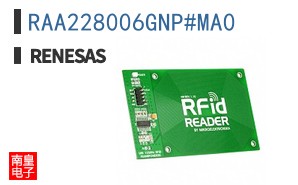 RAA228006GNP#MA0