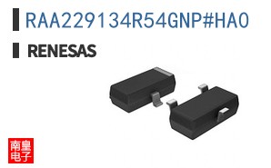 RAA229134R54GNP#HA0