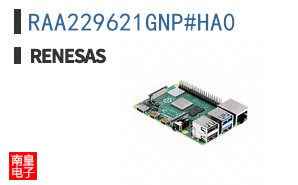 RAA229621GNP#HA0