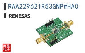 RAA229621R53GNP#HA0
