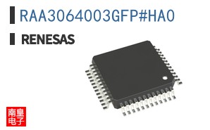 RAA3064003GFP#HA0