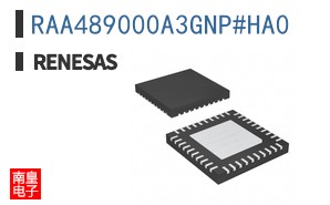 RAA489000A3GNP#HA0