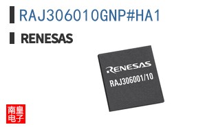 RAJ306010GNP#HA1