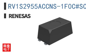 RV1S2955ACCNS-1F0C#SC0