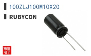 100ZLJ100M10X20