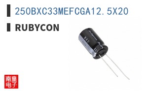 250BXC33MEFCGA12.5X20