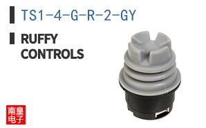 TS1-4-G-R-2-GY
